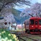 桜浪漫ながら