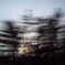 PICT0009