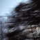 PICT0010
