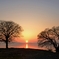 夕木