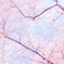桜の木の下から