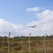 飛行機