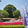 愛川公園#1