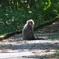 愛川公園にて#1