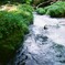 元滝伏流水