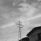会社からの景色