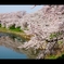 太平川水鏡1