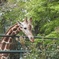 動物園