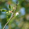DSC08019