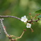 DSC08009