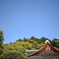 五月晴れ