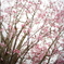 DSC02097