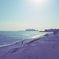 海