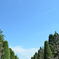 庭園