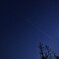 こと座流星群