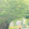 春の中で