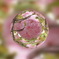 桜の玉