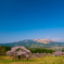 南阿蘇村　観音桜