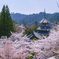 山寺の春