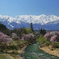 白馬の春