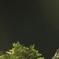 桑畑晃蔵の夜景
