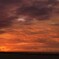 dawn2