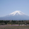 咲き掛けの芝桜と富士の山