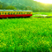 小湊鉄道