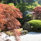 古知谷　阿弥陀寺
