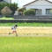 少年はあぜ道を行く