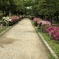 1959A954-1AA3-47E7-B92F-36CB33611966