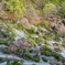 鐘山苑の園庭