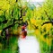 結婚式での風景