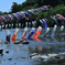 泳げ鯉のぼり～水浴～