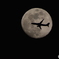 2018-4-28　月と飛行機２　B737