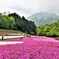 羊山公園①