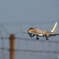 着陸中の飛行機を捉えて
