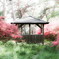 赤城神社参道松並木とヤマツツジ ③