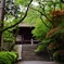 新緑の三井寺