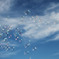 秋空にふわり