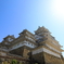 天の近くへ