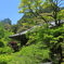 共生