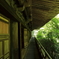 緑の小路