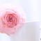 ranunculus