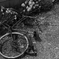 IMGP2458+rt+trm