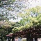 春→夏