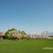 岩手山と桜