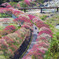 花道