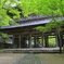 新緑の山門