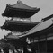 八坂の塔と爽やかメン！